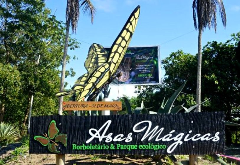 Mariposario Alas Mágicas