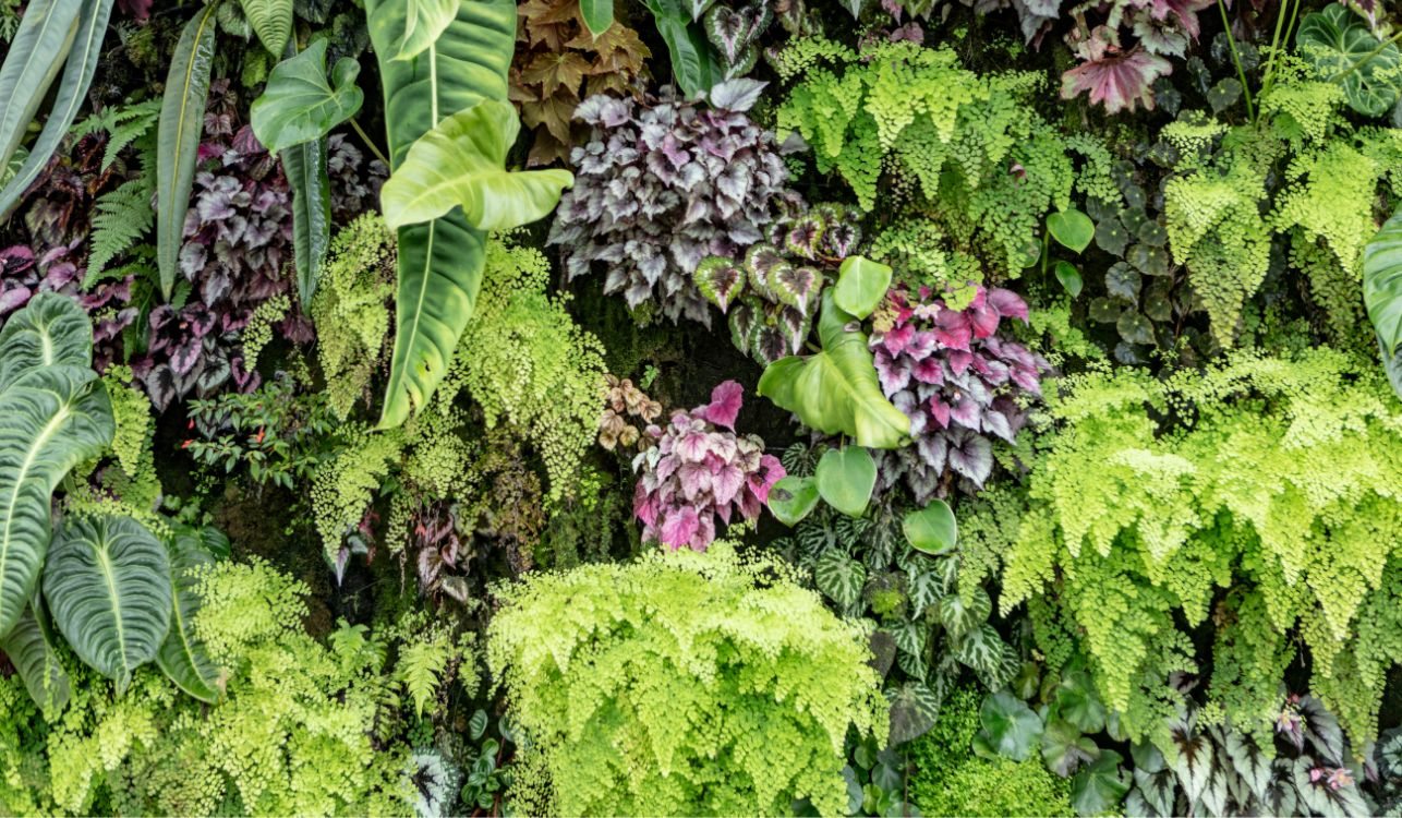 Jardín vertical con follaje tropical.