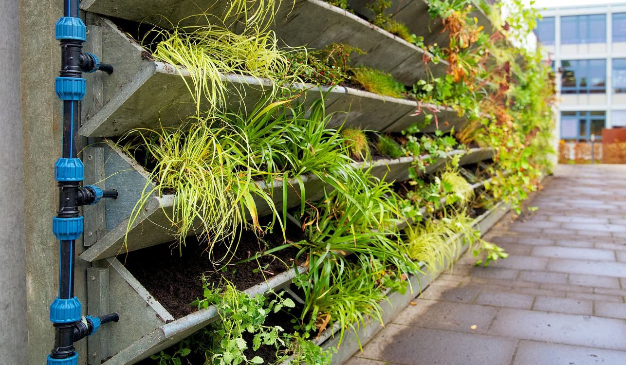 El sistema de riego es esencial para el jardín vertical y más fácil de lo que parece montar, requiriendo conocimientos básicos de fontanería.