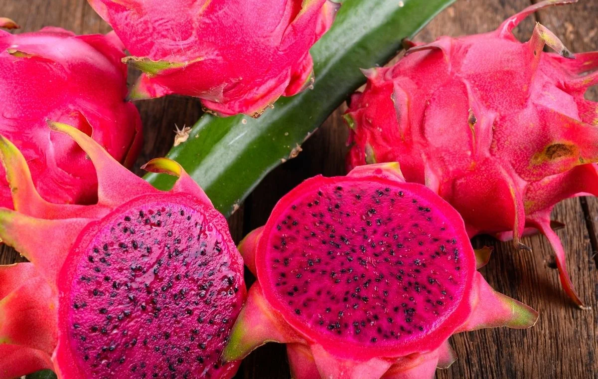 Pitahaya Roja