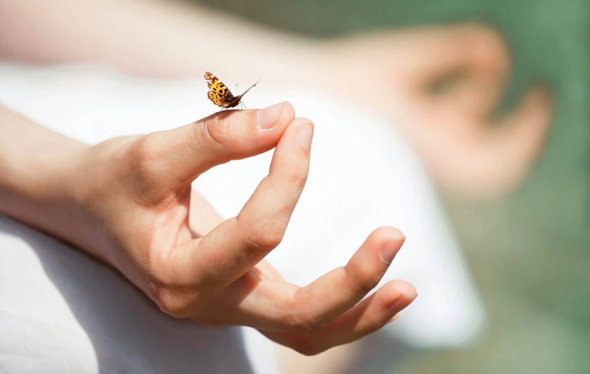 Persona meditando con una mariposa en la mano