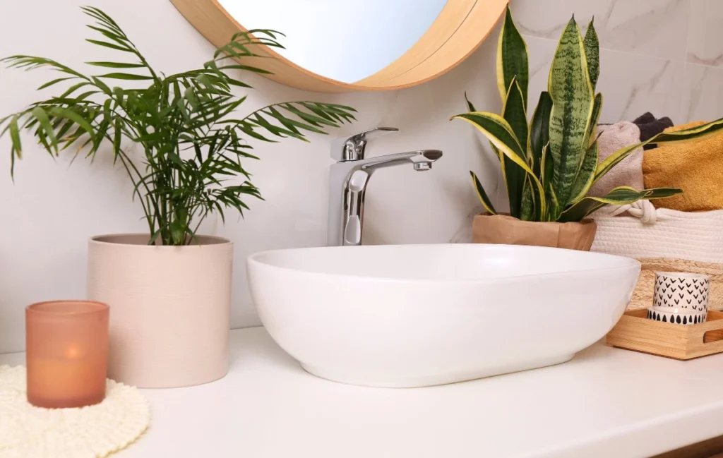 Plantas para baños