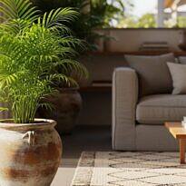 Guía de cuidados para una areca bambú sana y frondosa