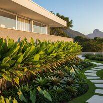 Maranta charuto: guía para crear jardines tropicales de gran impacto