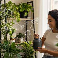 Astrología de las Plantas: La Especie Ideal para Cada Signo del Zodiaco