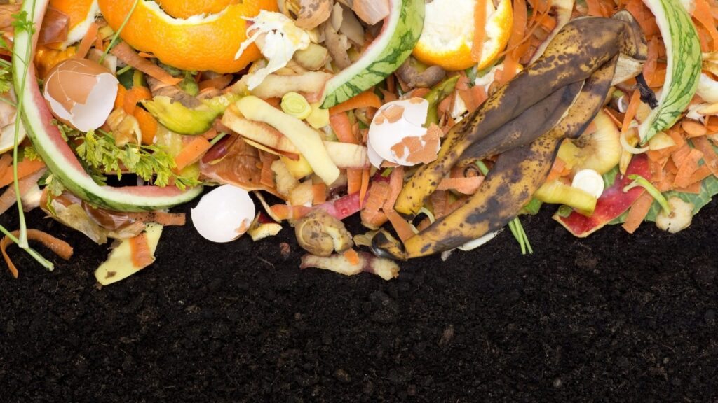 Guía definitiva para hacer compost y abono orgánico