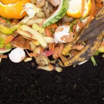 Guía definitiva para hacer compost y abono orgánico