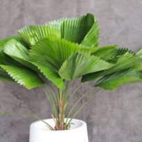Plantas grandes para la sala: 21 ideas que transforman tu espacio